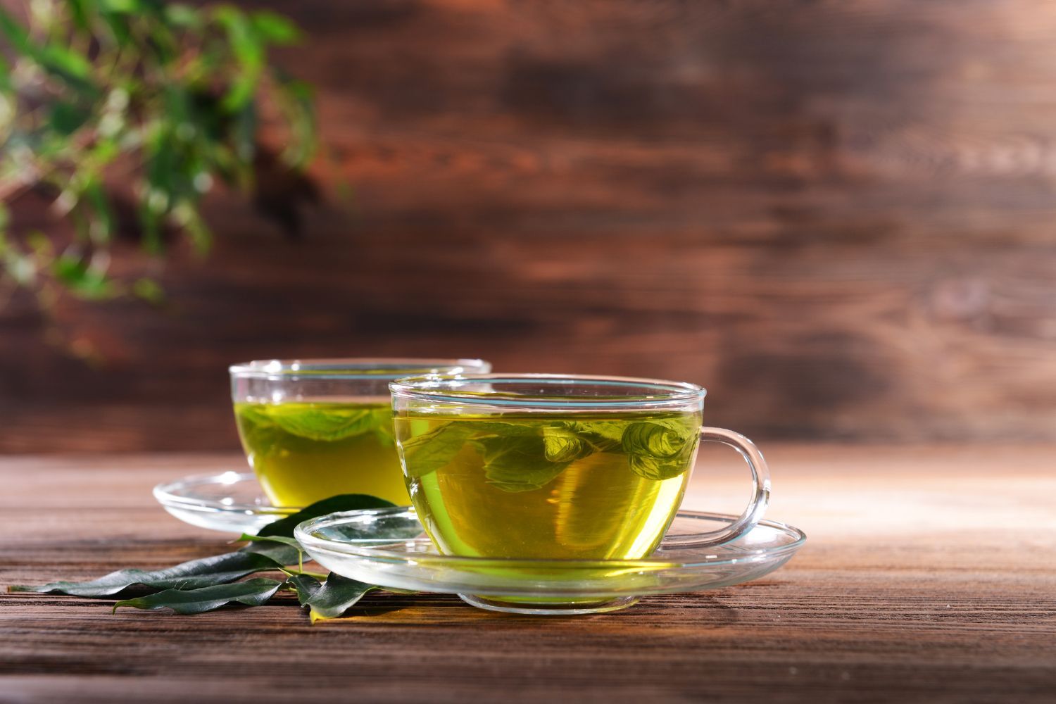 7 Health Benefits of Green Tea You Need to Know